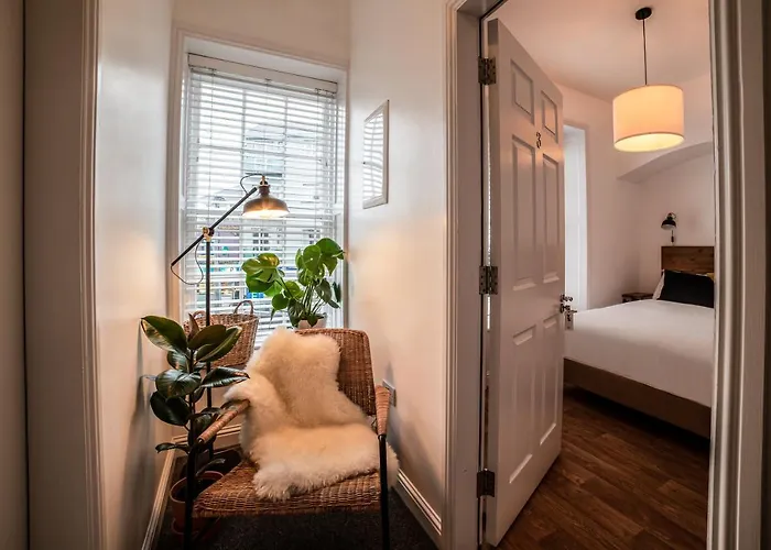 אורחן Black Cat גלוואיי