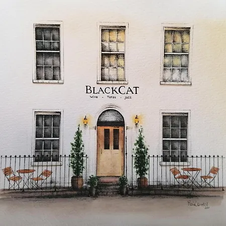 Black Cat *
