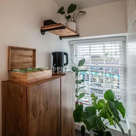 Han/Misafirhane Black Cat