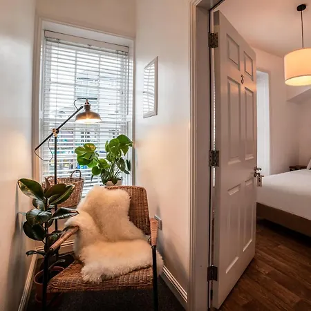 Han/Misafirhane Black Cat Galway