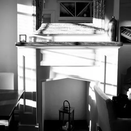 Han/Misafirhane Black Cat