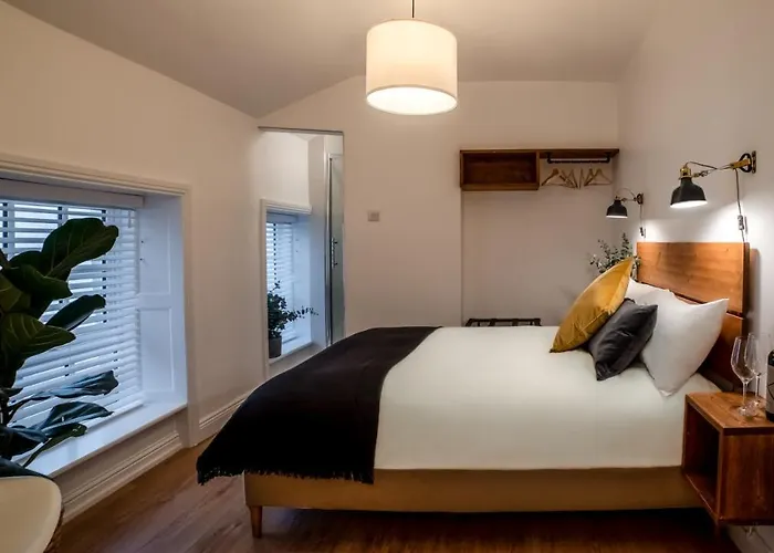 Мини-отель Black Cat Голуэй