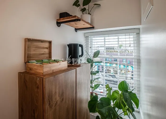 Мини-отель Black Cat